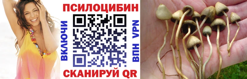 Галлюциногенные грибы прущие грибы  Обоянь 